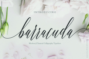 Barracuda Script: A Modern Handwritten Calligraphy Typeface for Elegant Design