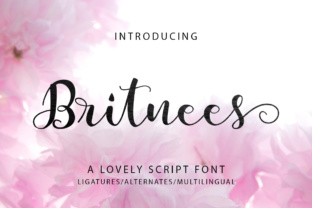Britnees Script: A Modern Script Font for Creative Expression and Professional Design