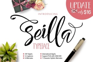 Seilla Script: A Modern Lettering Typeface for Creative Expression